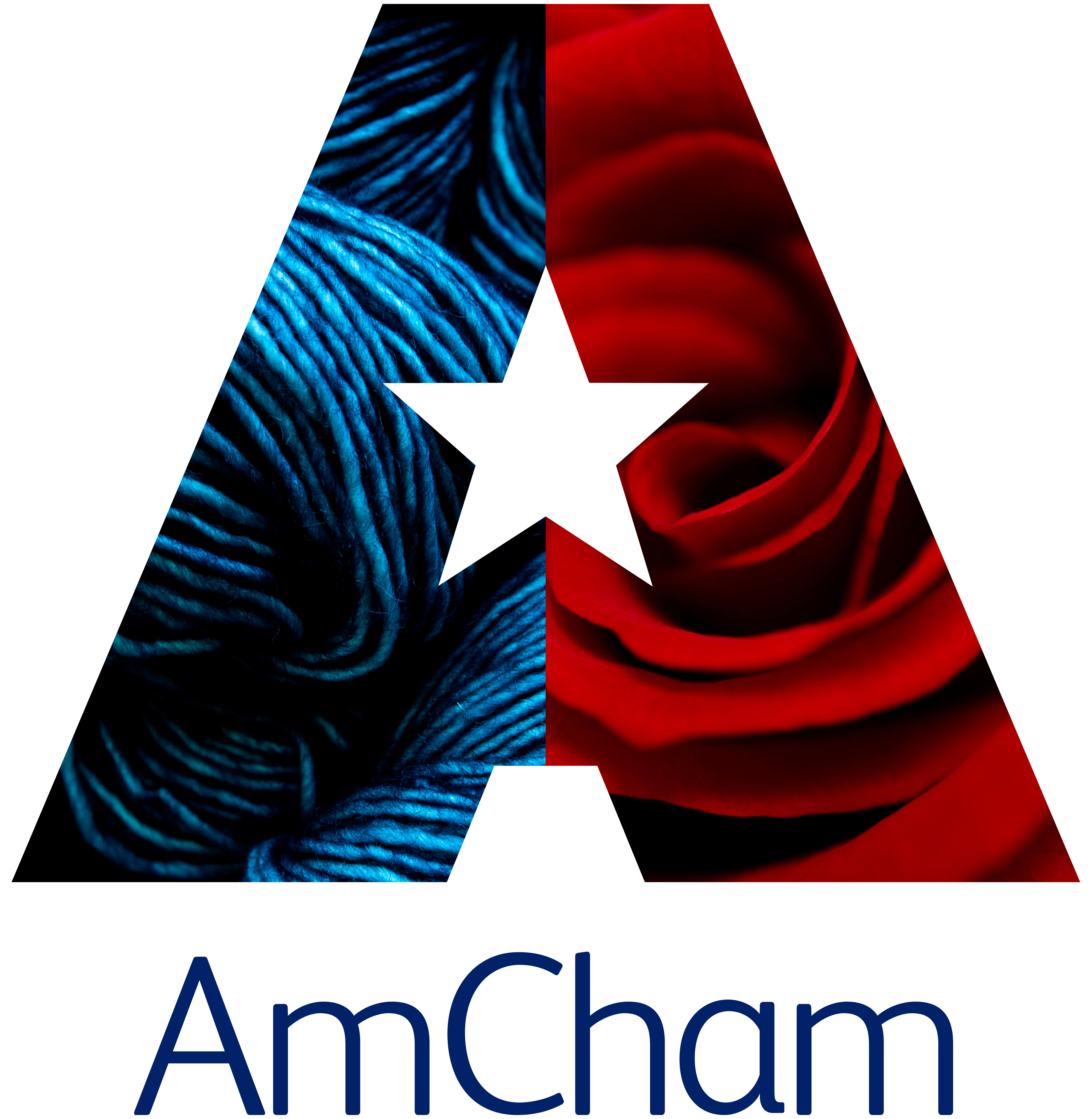 AmCham Information Morning for New & Prospective Members